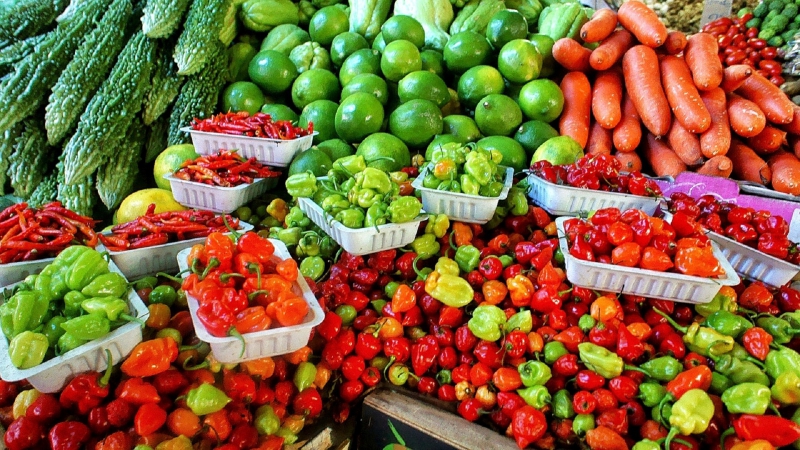 primeur-LE CASTELLET-min_farmers-market-1329008